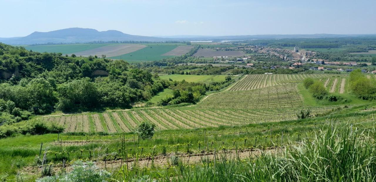 Appartamento Ubytovani Na Sklepe U Prochazku Pouzdrany Esterno foto