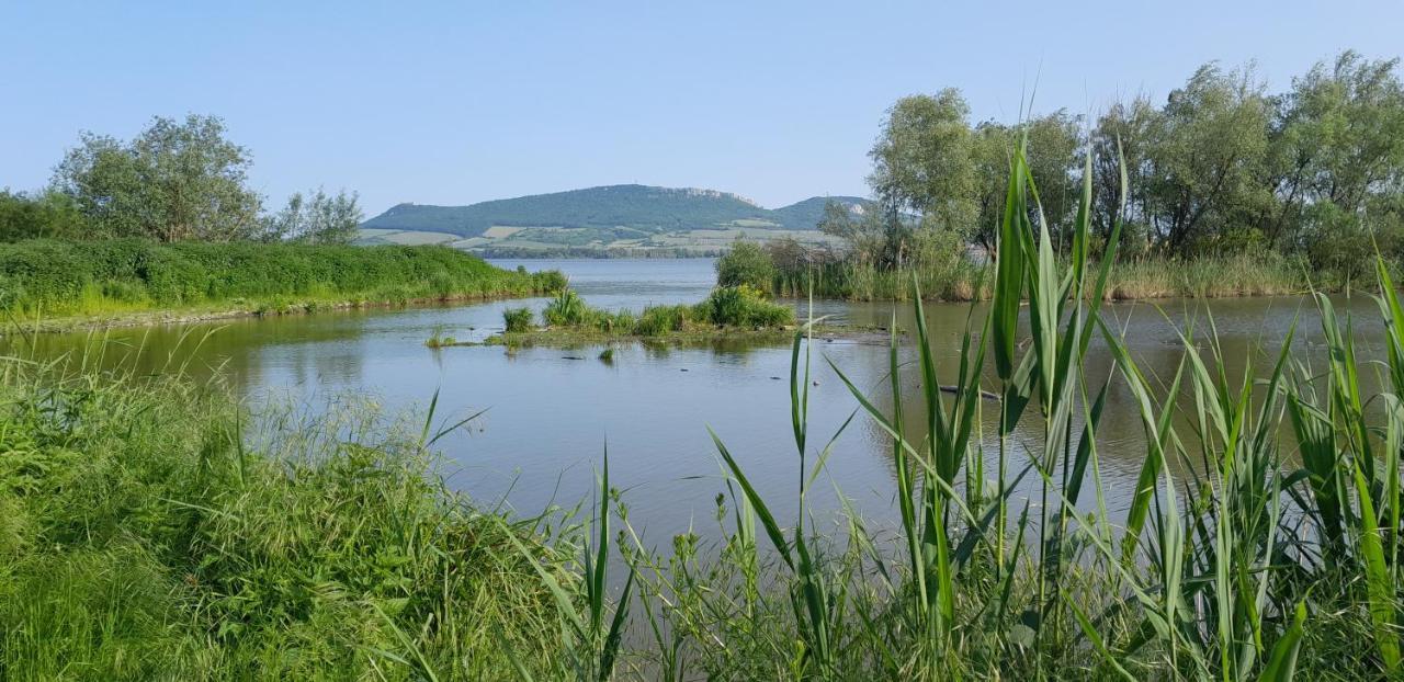 Ubytovani Na Sklepe U Prochazku Pouzdrany Esterno foto